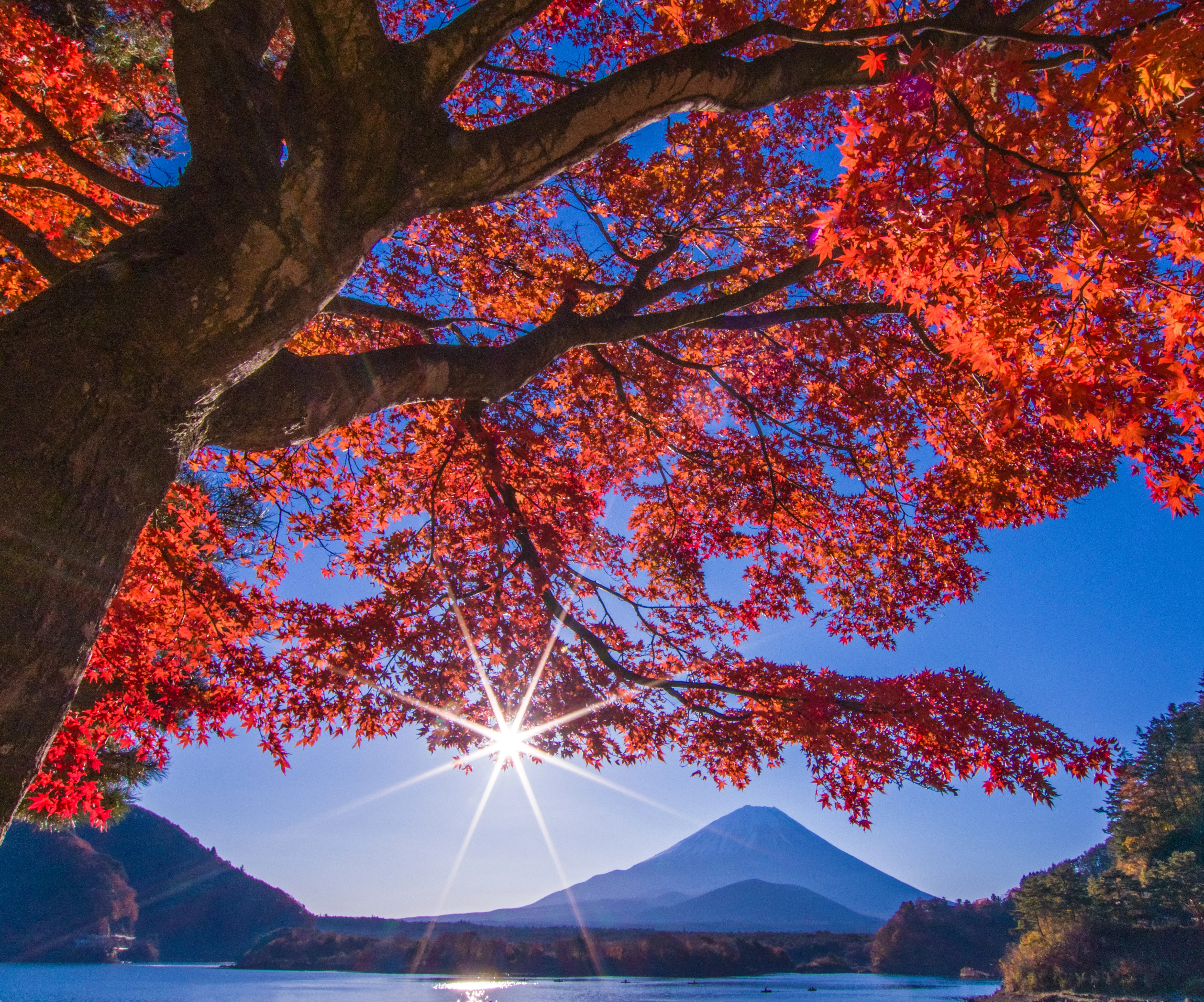 河口湖紅葉祭り 2
