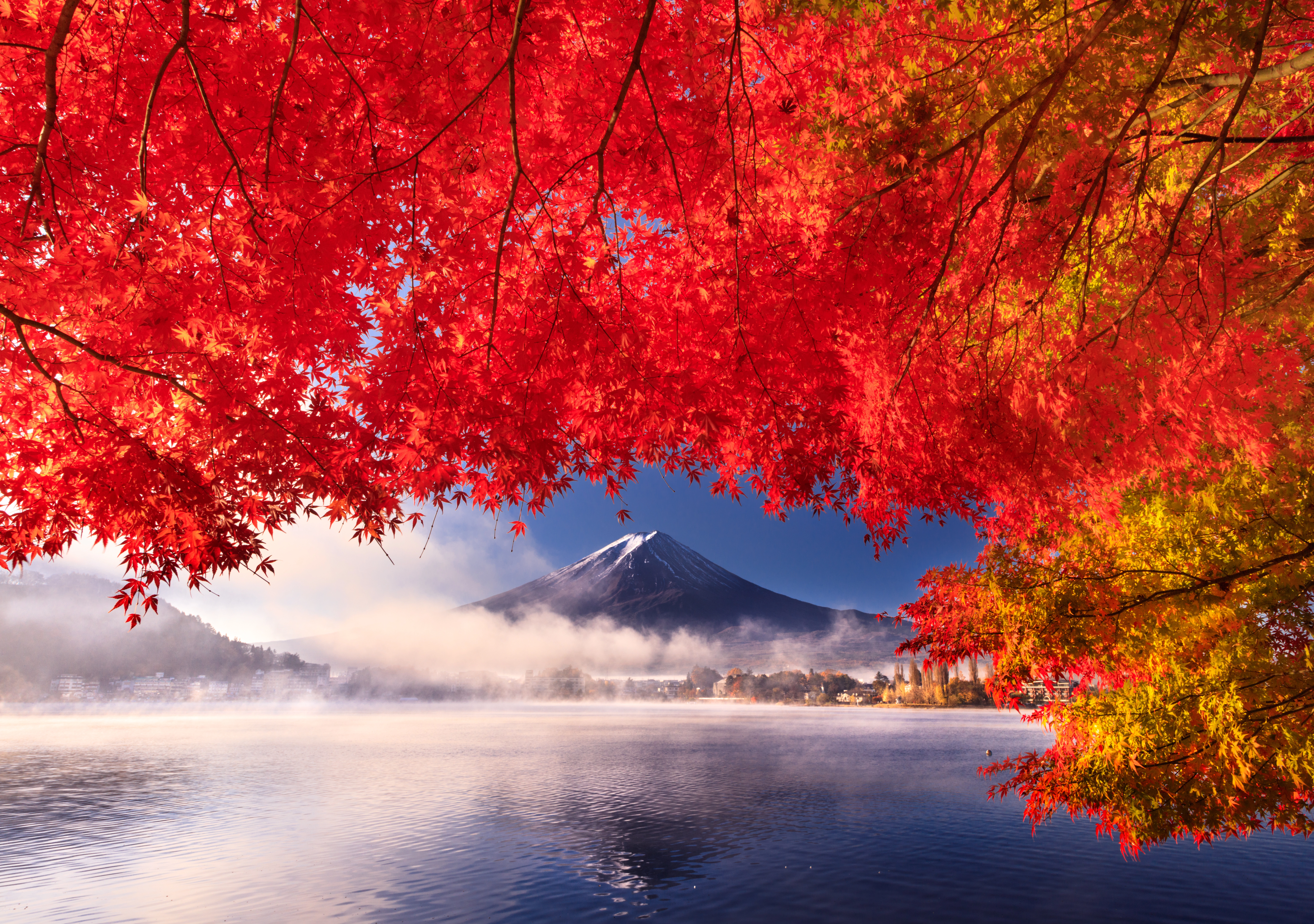 河口湖紅葉祭り 1