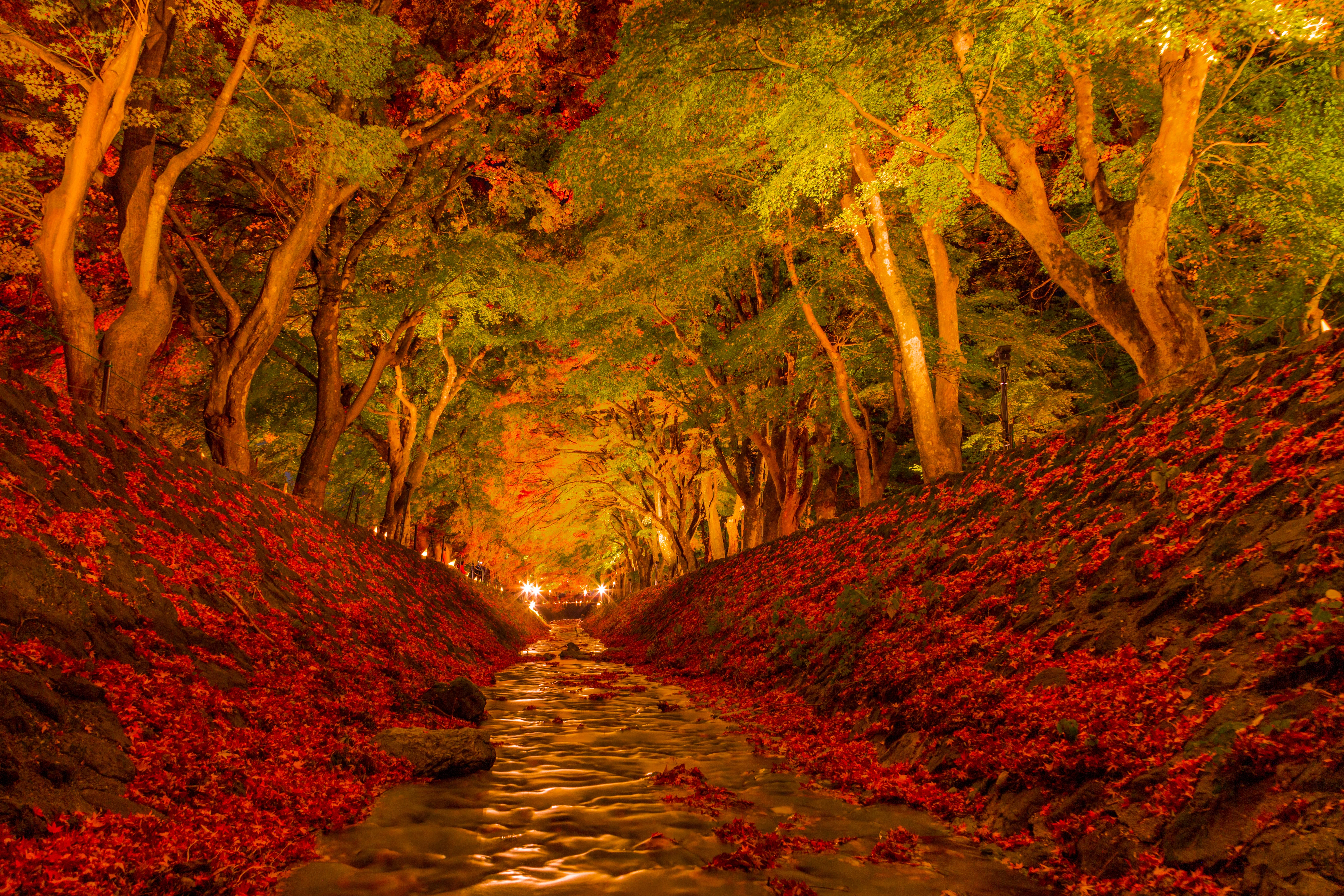 河口湖紅葉祭り 3