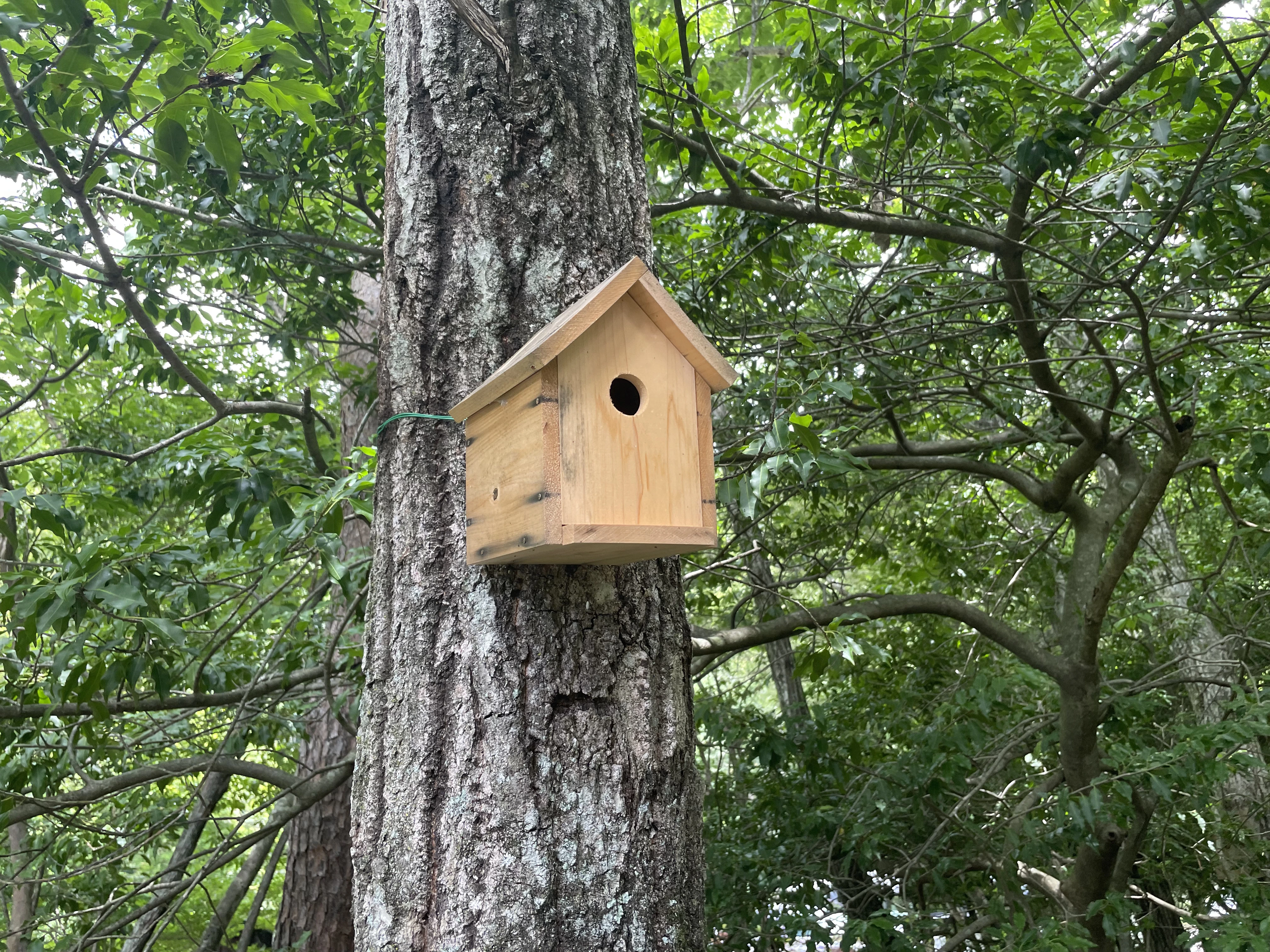 野鳥の森公園 3