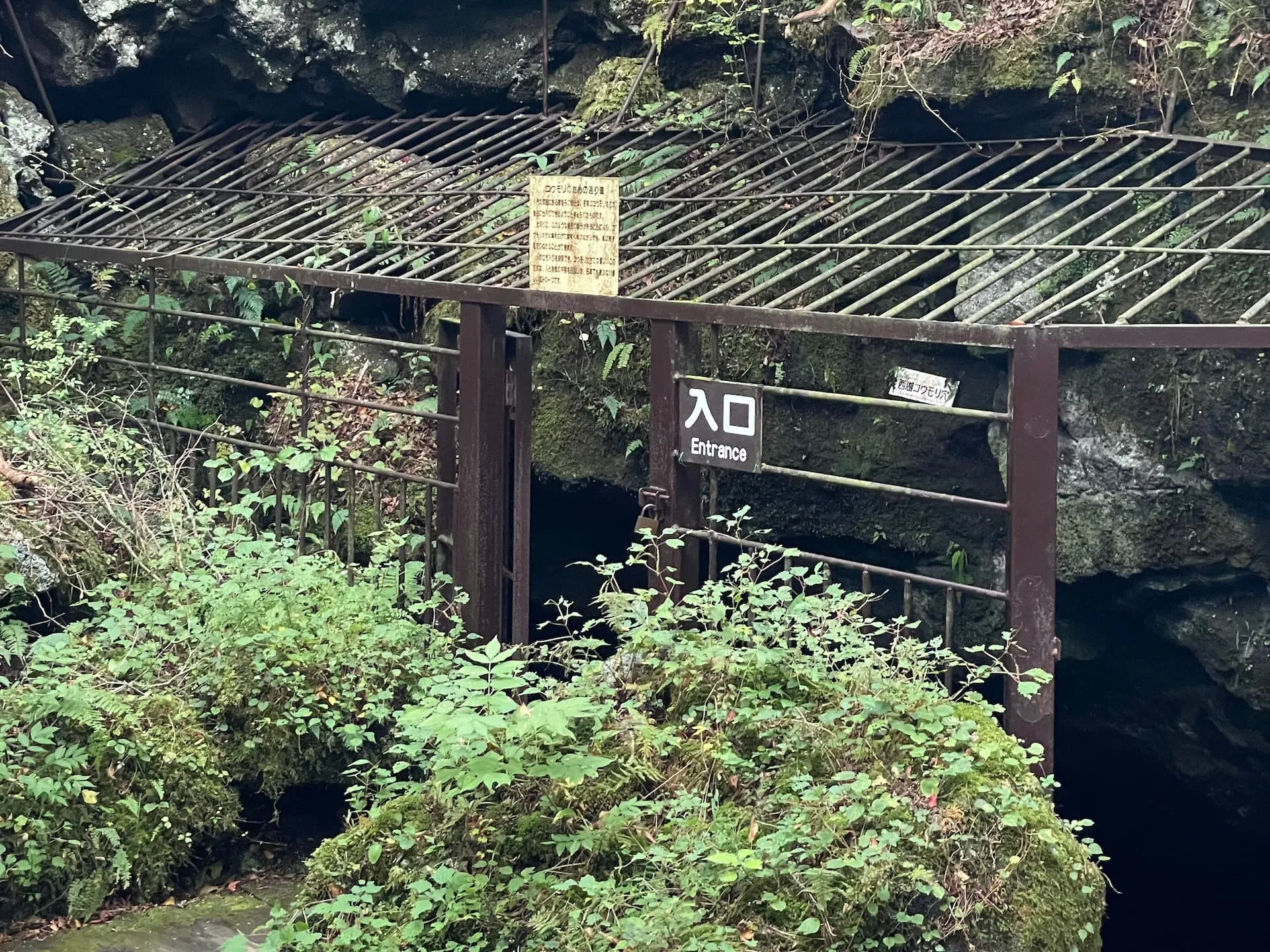 西湖ネイチャーセンター 2