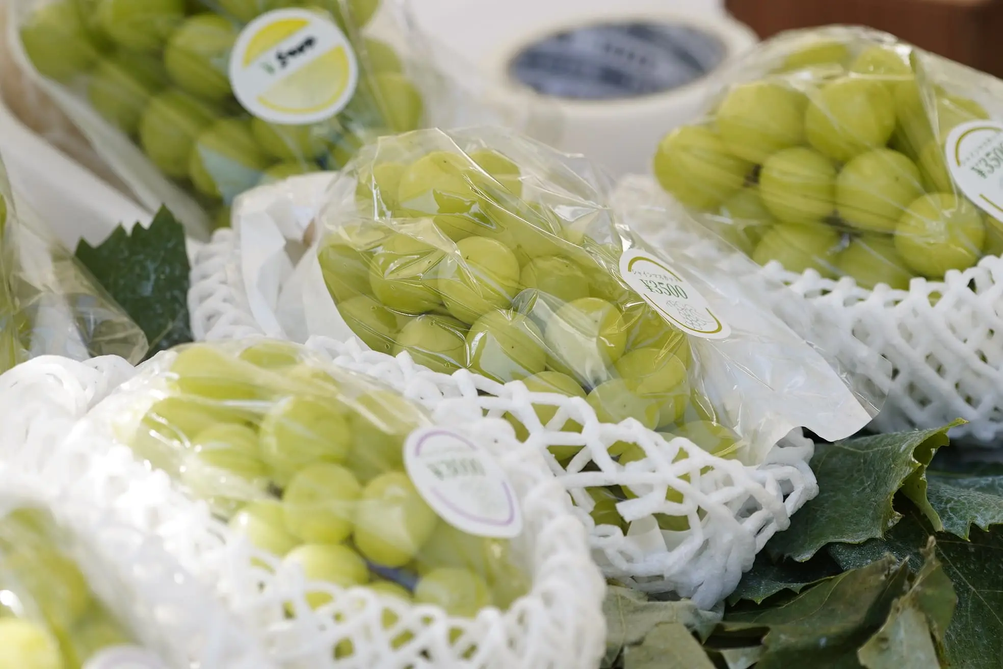 マッシュルーム