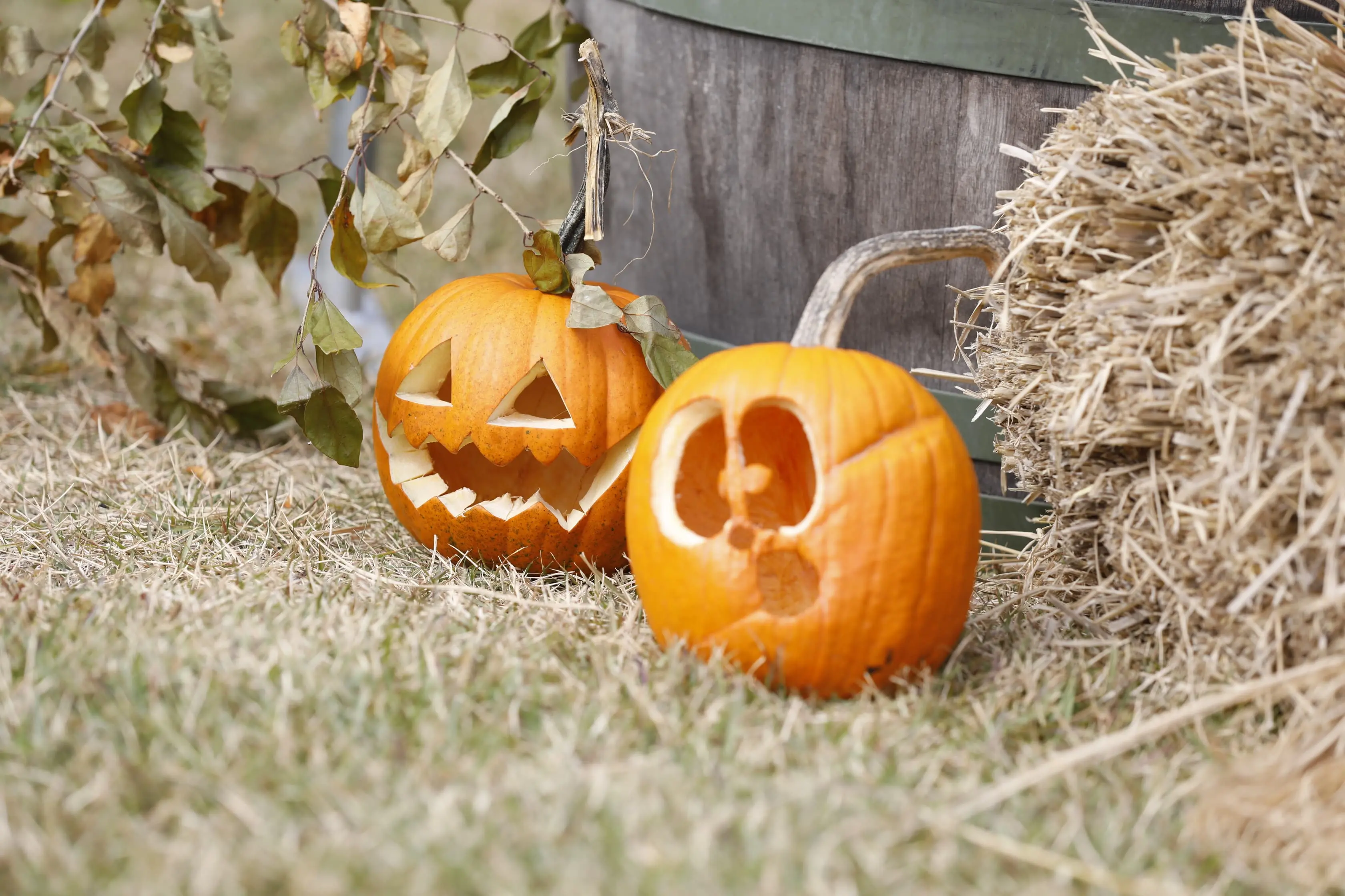 イベントシーン